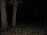 Chicago Ghost Hunters Group investigates Robinson Woods (181).JPG